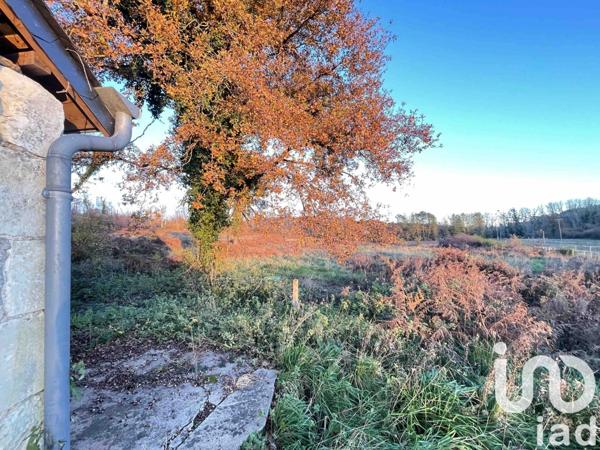 Maison rustique 4 pièces de 133 m² à Bourgueil (37140)