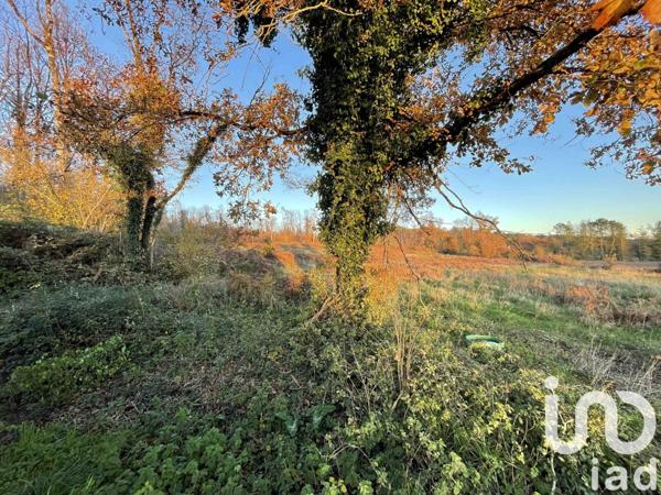 Maison rustique 4 pièces de 133 m² à Bourgueil (37140)