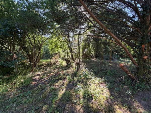 PLAISANCE du GERS proche(32): ANCIENNE PROPRIETE BOURGEOISE avec dépendances, bois, mare..sur 2 hectares,CALME, sans vis à vis, sans voisin, proche, famille ou projet d accueil ambitieux possible.
