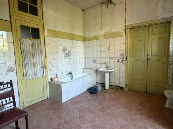 PLAISANCE du GERS proche(32): ANCIENNE PROPRIETE BOURGEOISE avec dépendances, bois, mare..sur 2 hectares,CALME, sans vis à vis, sans voisin, proche, famille ou projet d accueil ambitieux possible.