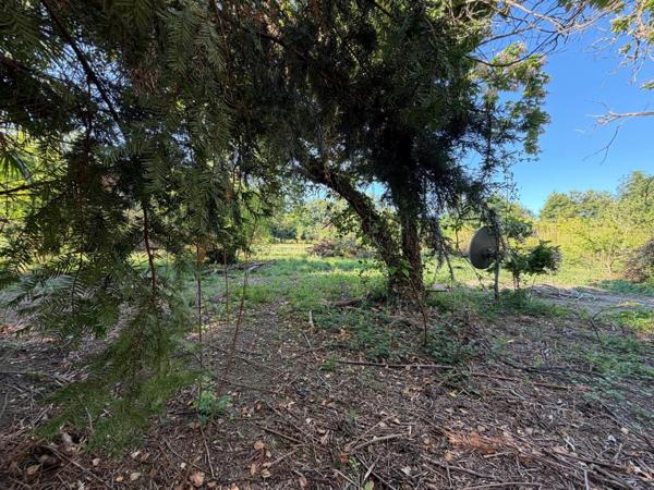 PLAISANCE du GERS proche(32): ANCIENNE PROPRIETE BOURGEOISE avec dépendances, bois, mare..sur 2 hectares,CALME, sans vis à vis, sans voisin, proche, famille ou projet d accueil ambitieux possible.
