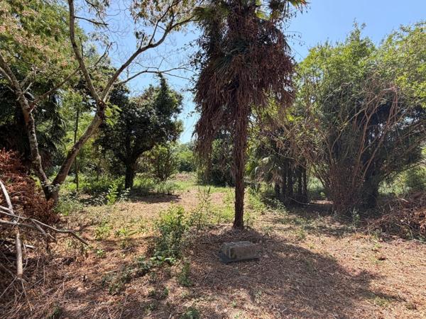 PLAISANCE du GERS proche(32): ANCIENNE PROPRIETE BOURGEOISE avec dépendances, bois, mare..sur 2 hectares,CALME, sans vis à vis, sans voisin, proche, famille ou projet d accueil ambitieux possible.
