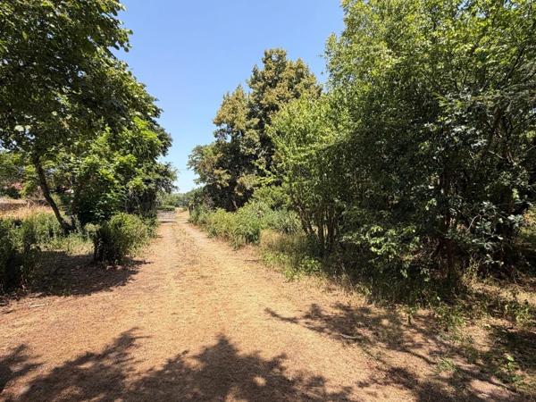 PLAISANCE du GERS proche(32): ANCIENNE PROPRIETE BOURGEOISE avec dépendances, bois, mare..sur 2 hectares,CALME, sans vis à vis, sans voisin, proche, famille ou projet d accueil ambitieux possible.