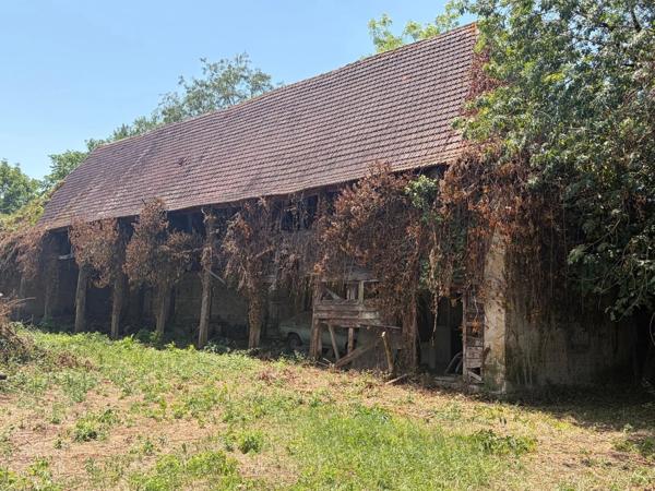 PLAISANCE du GERS proche(32): ANCIENNE PROPRIETE BOURGEOISE avec dépendances, bois, mare..sur 2 hectares,CALME, sans vis à vis, sans voisin, proche, famille ou projet d accueil ambitieux possible.