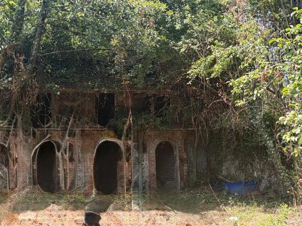 PLAISANCE du GERS proche(32): ANCIENNE PROPRIETE BOURGEOISE avec dépendances, bois, mare..sur 2 hectares,CALME, sans vis à vis, sans voisin, proche, famille ou projet d accueil ambitieux possible.