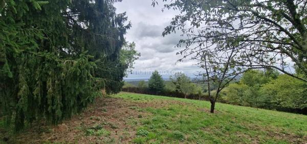 Vente Terrain 1480 m2 à Averan
