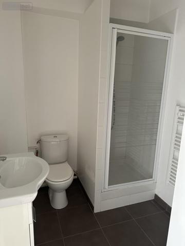 Appartement à louer à Lille dans le Nord (59800), ref : 59017-L286