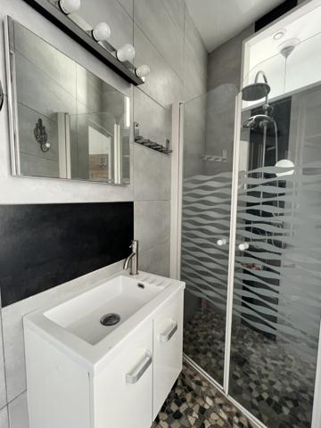 ROYAN - QUARTIER DU PARC - Ensemble Immobilier 2 Maisons - Jardin