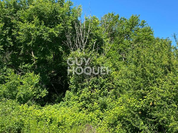 Terrain boisé Vacquiers 33667 m2