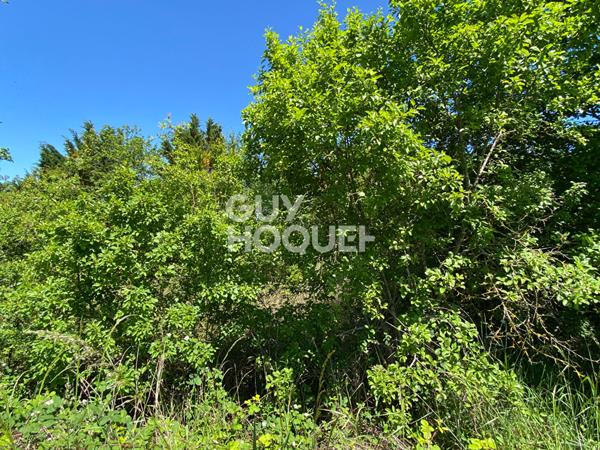 Terrain boisé Vacquiers 33667 m2