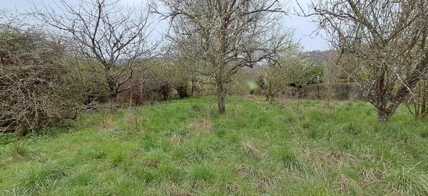 Terrain dans BALAIVES ET BUTZ