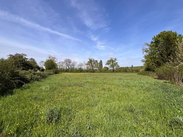 Terrain à Allotir - Beaufay - 7100 m²
