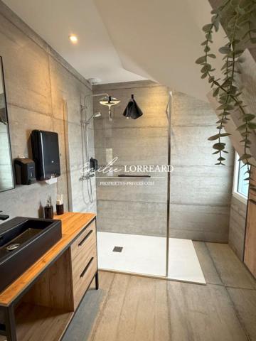 Maison au sud du Mans 6 pièce(s) 216 m2