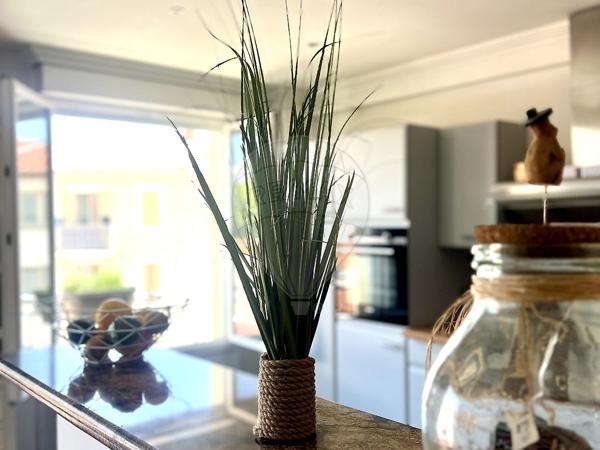 Appartement  en vente - Alpes-Maritimes - 06