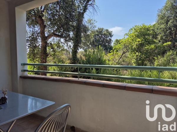 Appartement à vendre 2 pièces 33 m² Linguizzetta