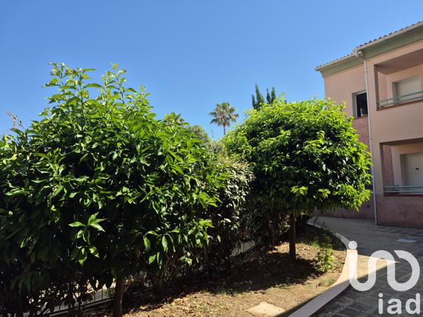 Appartement à vendre 2 pièces 33 m² Linguizzetta