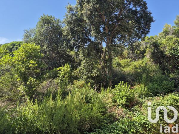 Appartement à vendre 2 pièces 33 m² Linguizzetta