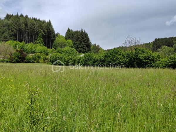 Terrain commercial de 2 870 m²