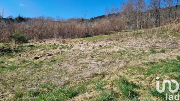 Terrain à vendre 1 029 m² Anould