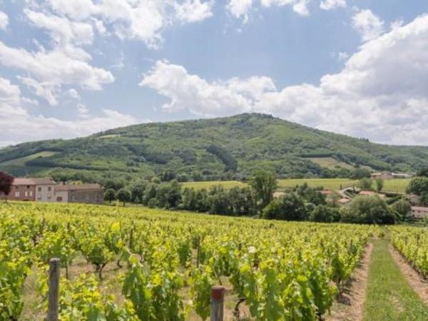 Commerce à vendre à Belleville-en-Beaujolais (69220) - Rhône