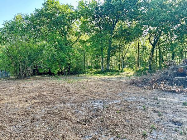 Terrain
        
        - 1117 m² Exclusivité 262 500 € *