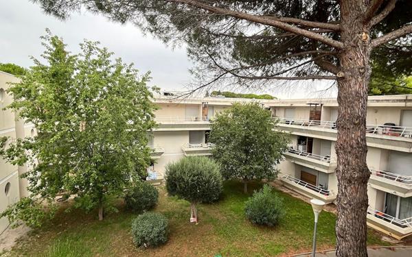 Appartement à louer    1 pièce •  Montpellier