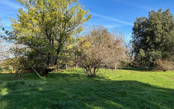 Maison à vendre    7 pièces •  Pont-l'Abbé-d'Arnoult