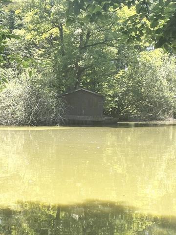 Maison à vendre à Marchenoir dans le Loir-et-Cher (41370), ref : 41029-13