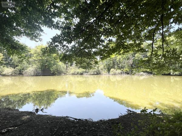 Maison à vendre à Marchenoir dans le Loir-et-Cher (41370), ref : 41029-13