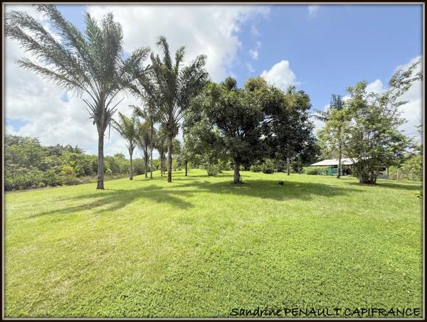 A VENDRE A SINNAMARY UNE MAGNIFIQUE MAISON T4 DE 193 m² SUPERFICIE TERRAIN 6 HECTARES - AU PRIX DE 475 000 €.