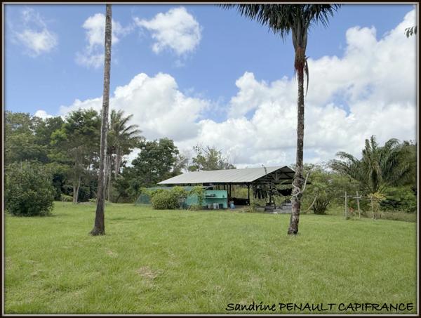 A VENDRE A SINNAMARY UNE MAGNIFIQUE MAISON T4 DE 193 m² SUPERFICIE TERRAIN 6 HECTARES - AU PRIX DE 475 000 €.