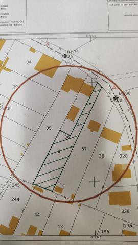 Vente terrain Chateaubriant : 63 000 € - AJP Immobilier Châteaubriant