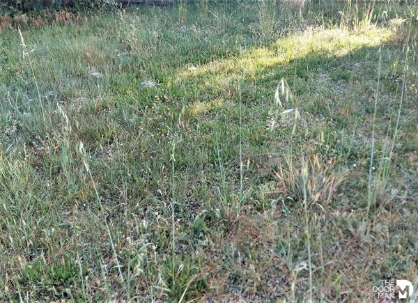 Terrain - Vendu - 440 m² - CHAUMES EN RETZ | The Door Man