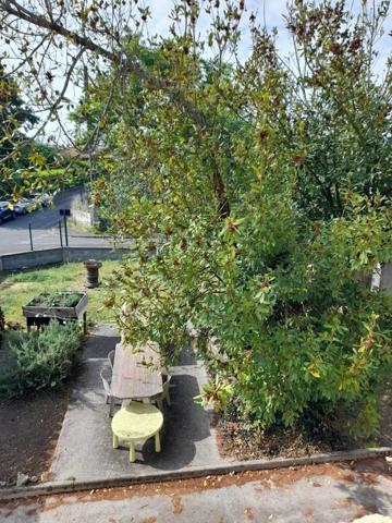 Location Appartement 3 pièces 57 m2 à Bègles