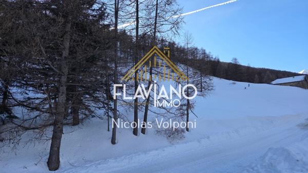 La Condamine-Châtelard (04530) Terrain 5259 m2