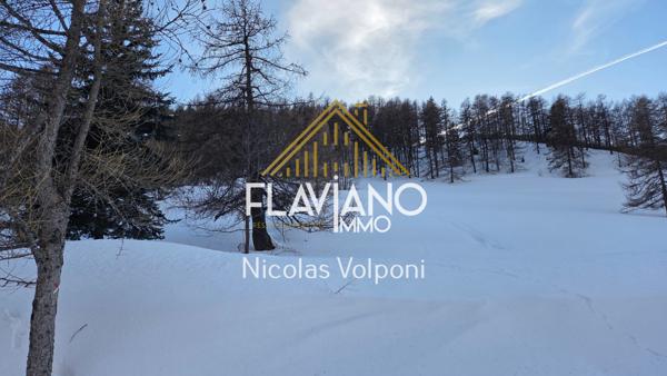 La Condamine-Châtelard (04530) Terrain 5259 m2