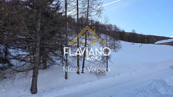 La Condamine-Châtelard (04530) Terrain 5259 m2