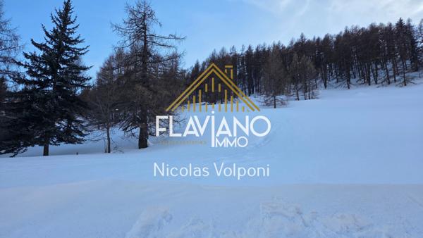 La Condamine-Châtelard (04530) Terrain 5259 m2