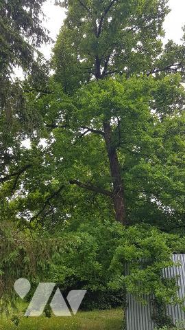 Une maison d'habitation