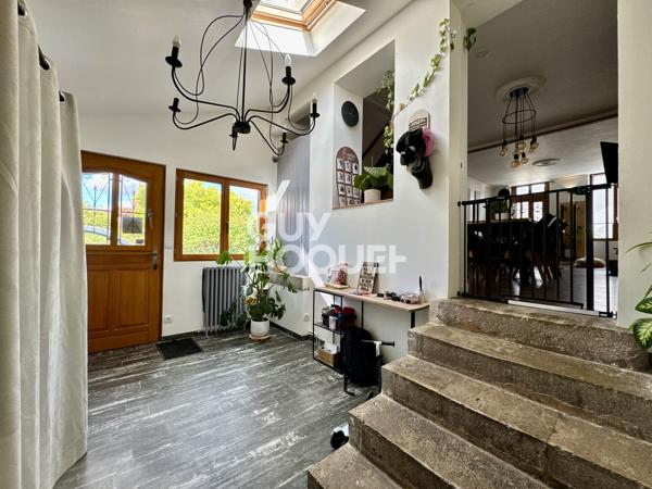 CHILLEURS AUX BOIS - EXCLUSIVITE