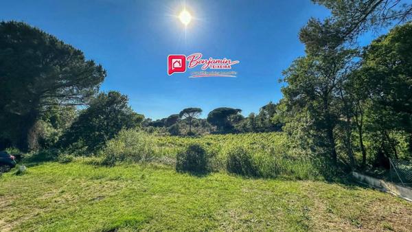 Maison Frejus 4 pièce(s) 85 m2