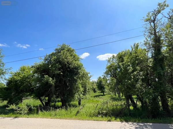 Achat - Terrain à bâtir | Terrain à bâtir Bourguignons 10110 2205 m 2 2205 m 2