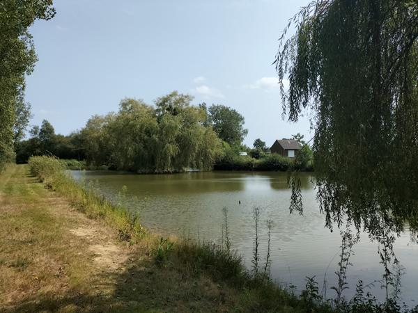 Janzé (35150) Grande maison en pierres de 300 m² avec terrain, hangar, étang et bois* Parfaite pour une grande famille ou un
