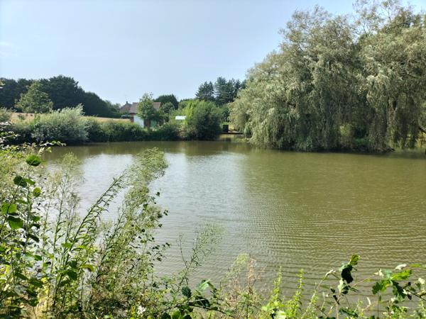 Janzé (35150) Grande maison en pierres de 300 m² avec terrain, hangar, étang et bois* Parfaite pour une grande famille ou un