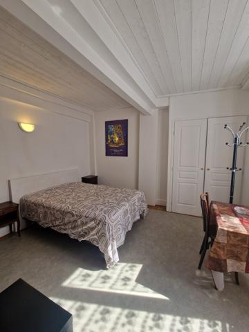 ANNECY - VIEILLE VILLE - T2 MEUBLE DE 74m²