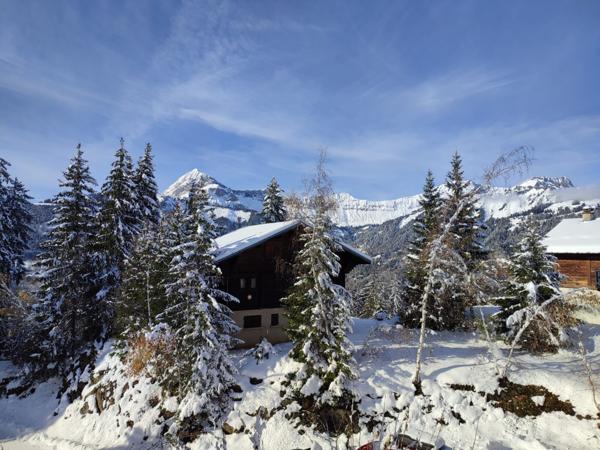 Crest-Voland (73590) "CHARMANT CHALET INDIVIDUEL"