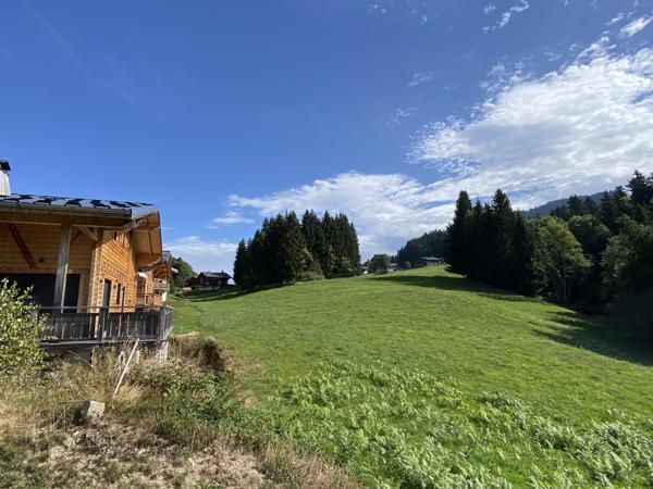 Crest-Voland (73590) "CHARMANT CHALET INDIVIDUEL"