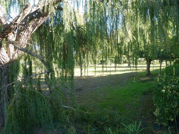 Appartement Narbonne studio meublé, 20.26 m²