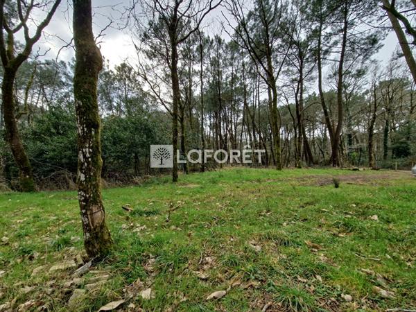 Achat terrain Péaule - 2073 m² - 18 000 €