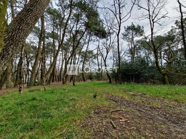 Achat terrain Péaule - 2073 m² - 18 000 €